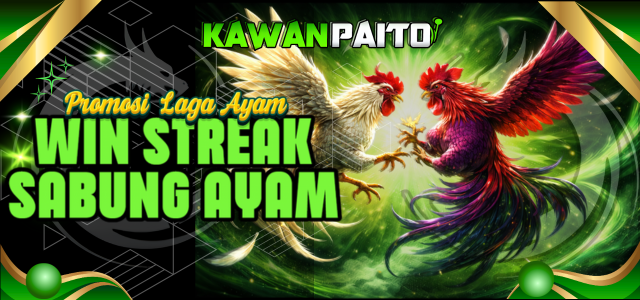 Promsi Win Streak Sabung Ayam