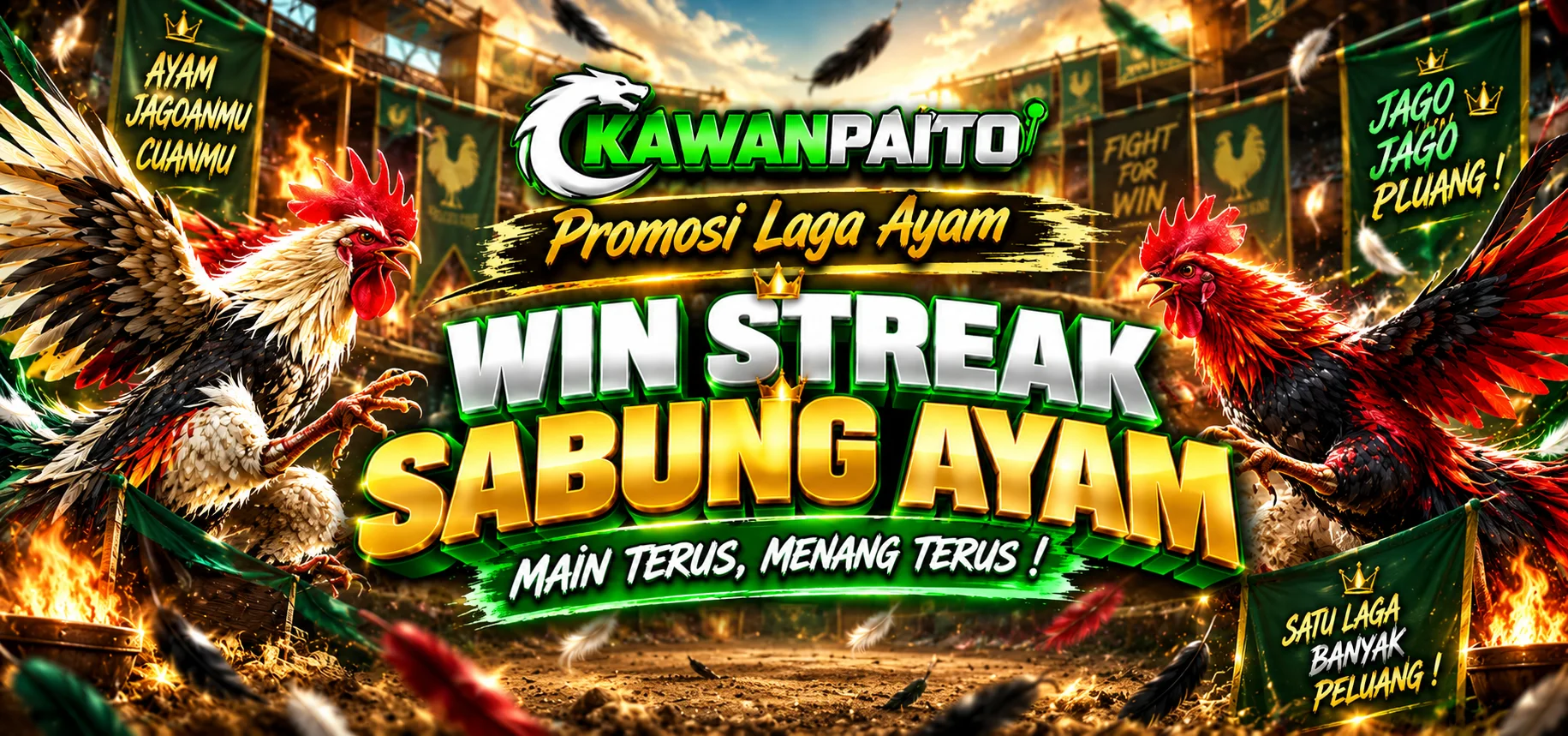 Promsi Win Streak Sabung Ayam